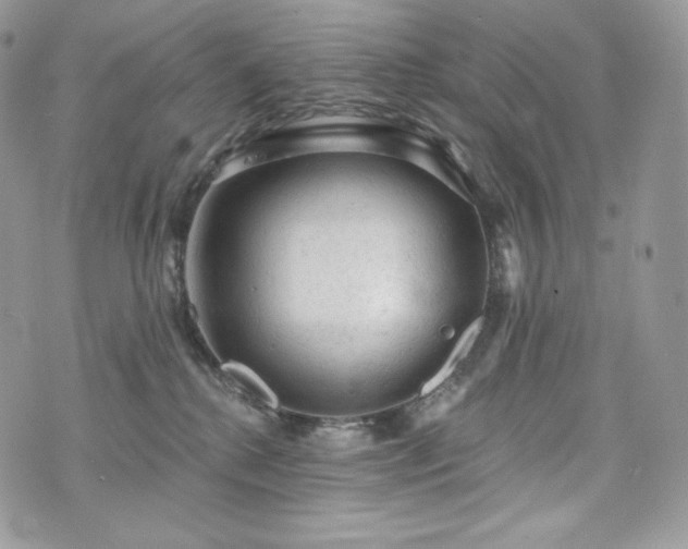 X0000076300280200609291043