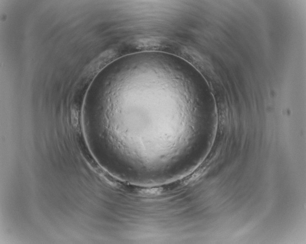 X0000076300281200609291043