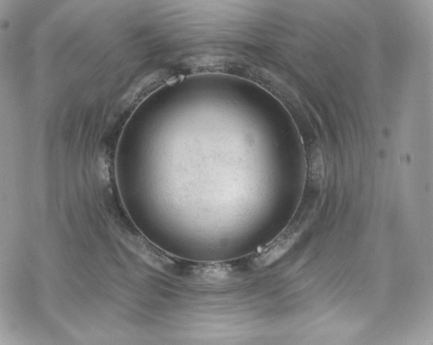 X0000076300282200609291043