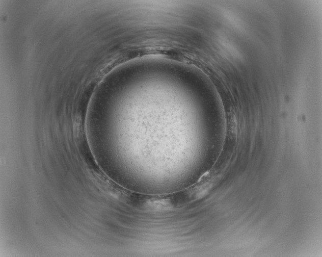 X0000076300283200609291043