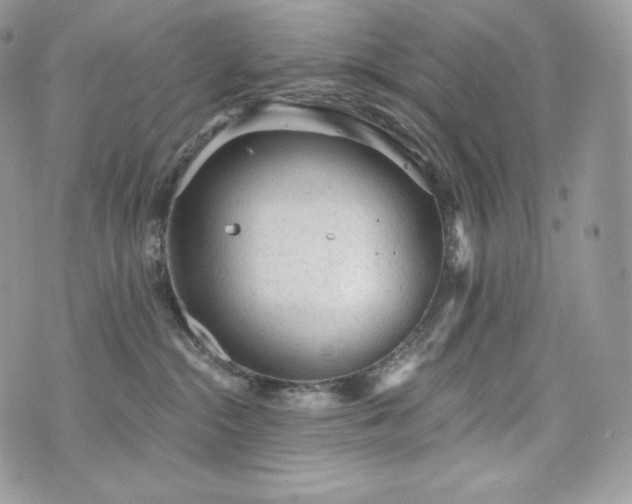 X0000076300284200609291043