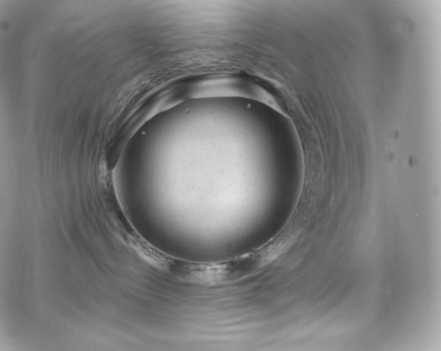 X0000076300288200609291043