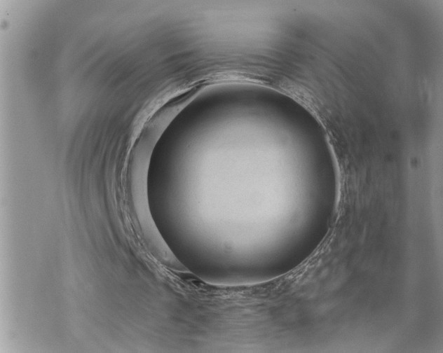 X0000076300289200609291043