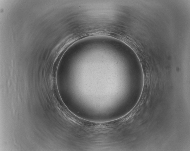 X0000076300290200609291043