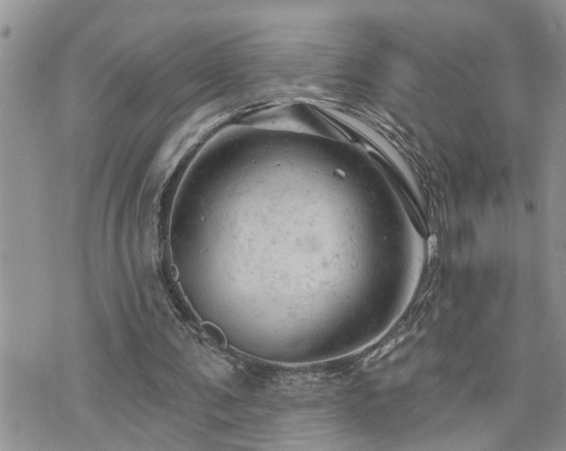 X0000076300291200609291042