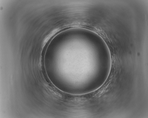 X0000076300292200609291042