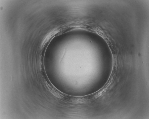 X0000076300293200609291042