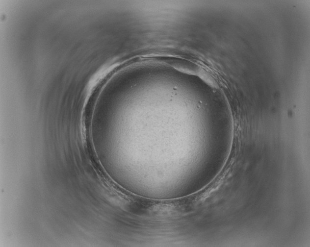 X0000076300294200609291042