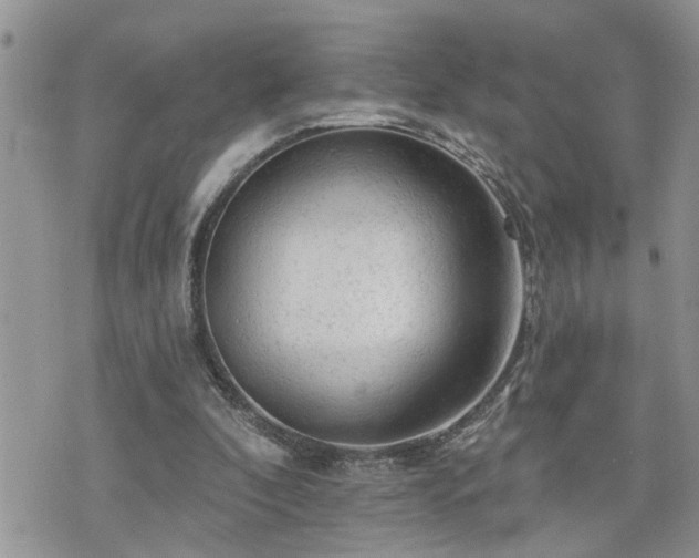 X0000076300296200609291042