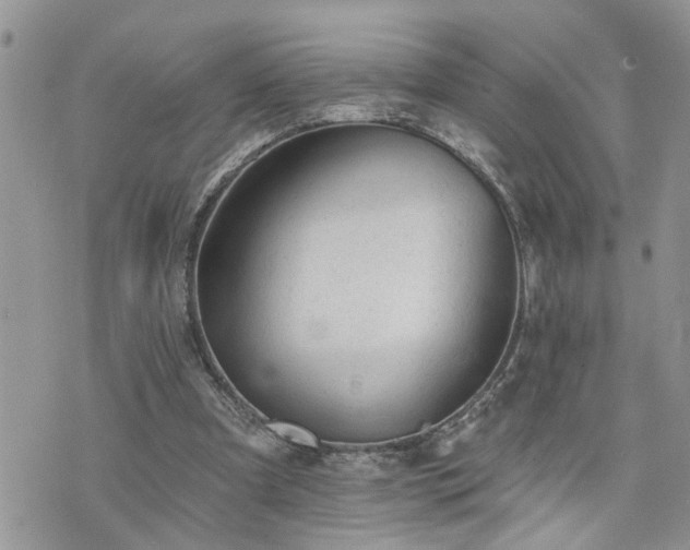 X0000076300297200609291042