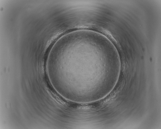 X0000076300299200609291042