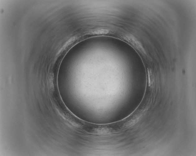 X0000076300300200609291042