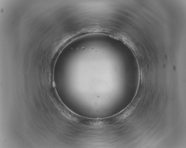 X0000076300301200609291042