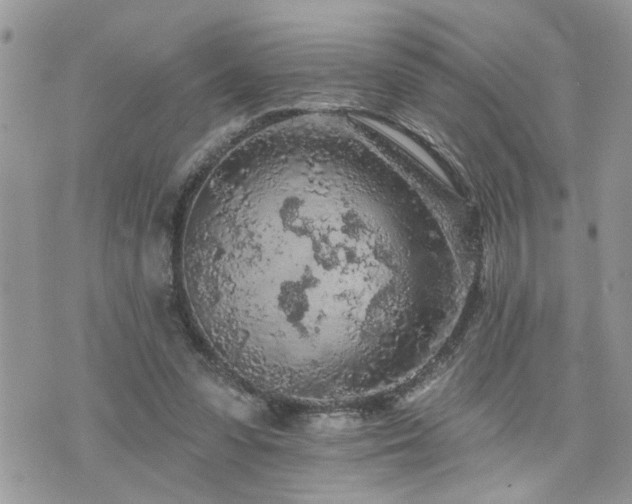 X0000076300303200609291042