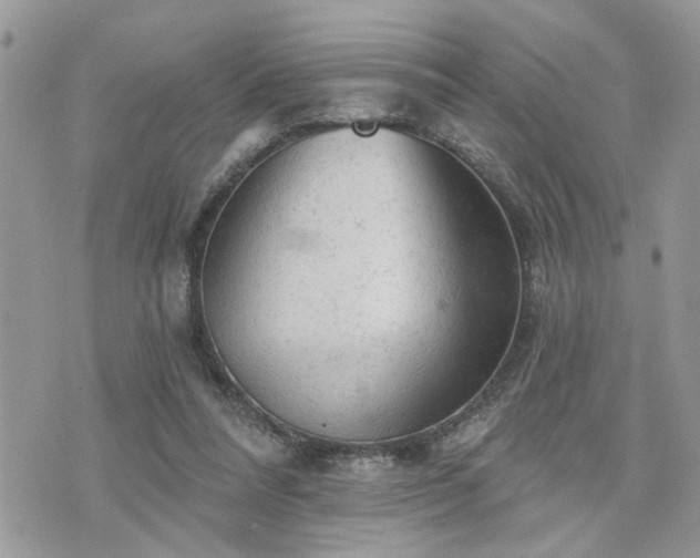 X0000076300304200609291042