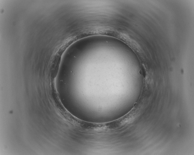 X0000076300306200609291042