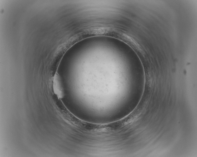 X0000076300307200609291042