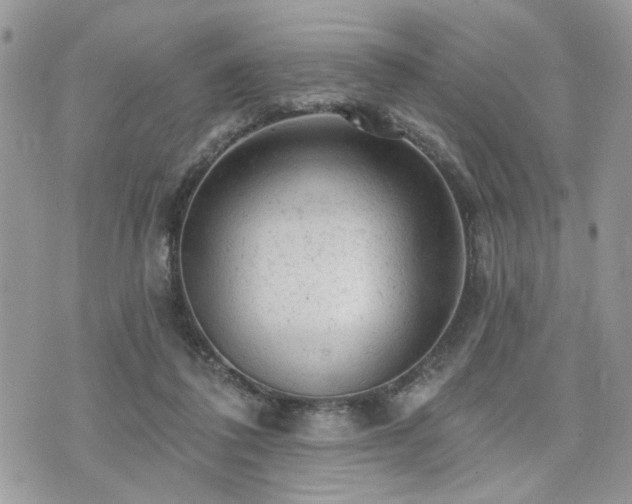 X0000076300308200609291042