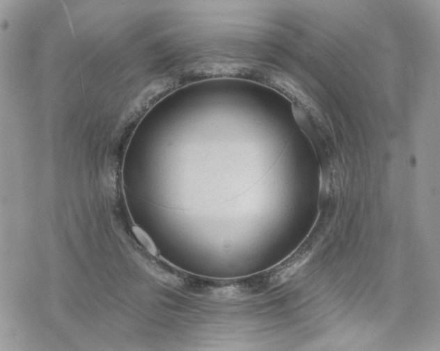 X0000076300309200609291042