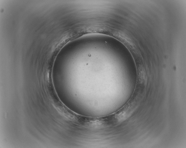 X0000076300310200609291042