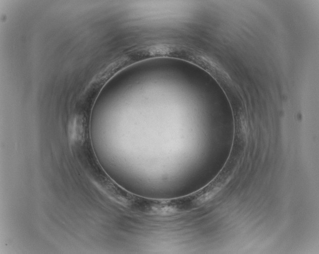 X0000076300311200609291042