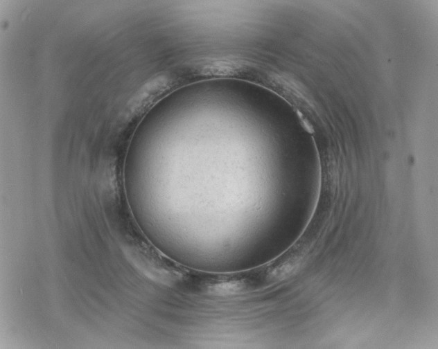 X0000076300312200609291042