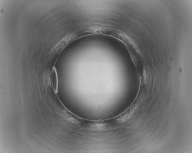 X0000076300313200609291042