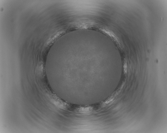 X0000076300314200609291042