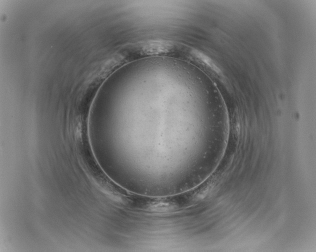 X0000076300315200609291042