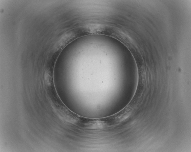 X0000076300316200609291042