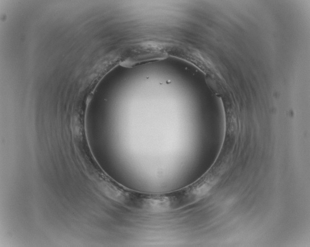 X0000076300317200609291042