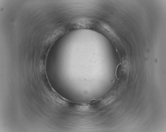 X0000076300318200609291042