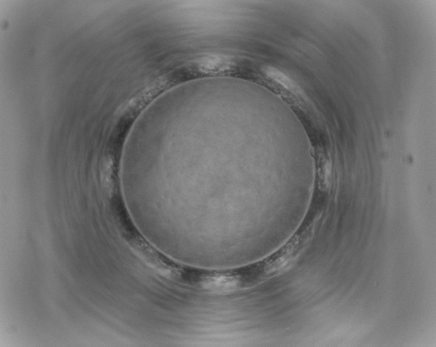 X0000076300319200609291042