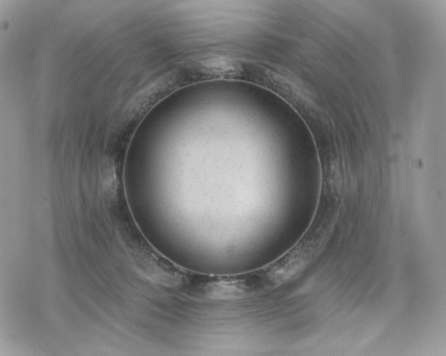 X0000076300320200609291042