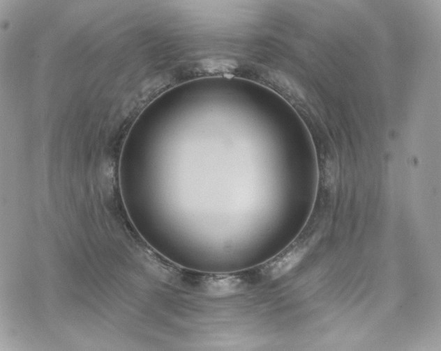 X0000076300321200609291042