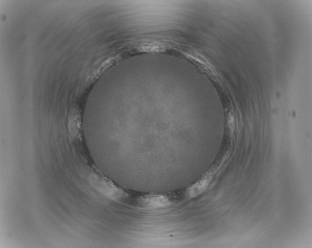 X0000076300322200609291042