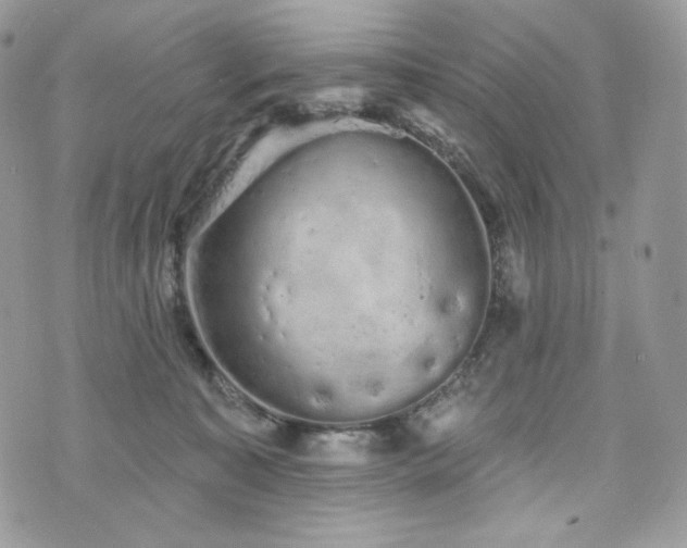 X0000076300323200609291042