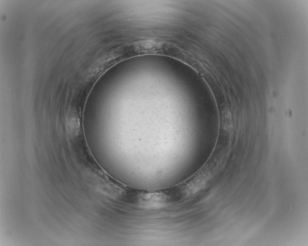 X0000076300324200609291042