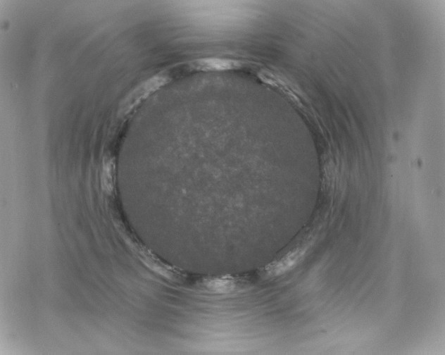 X0000076300325200609291042