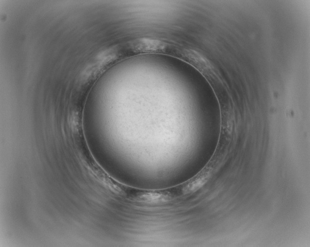 X0000076300326200609291042