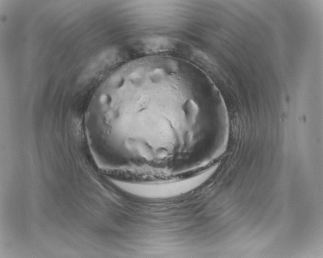 X0000076300327200609291042