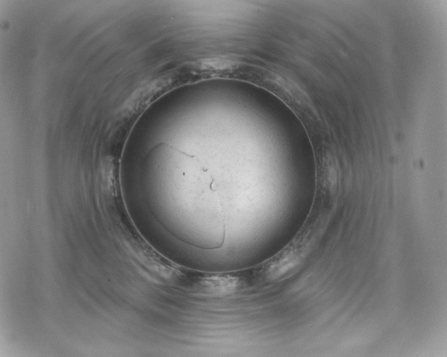 X0000076300328200609291042