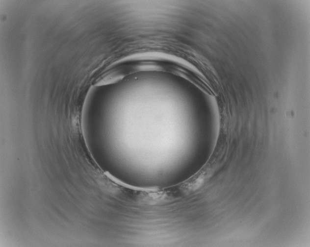 X0000076300329200609291042