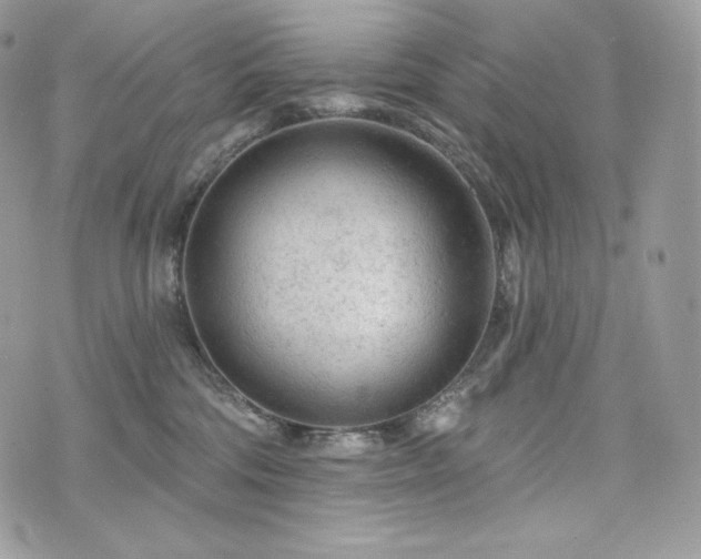 X0000076300330200609291042