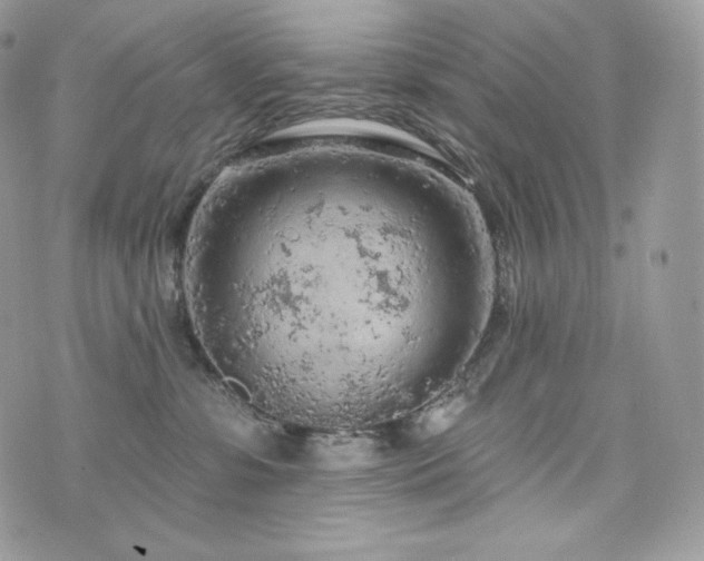 X0000076300331200609291042