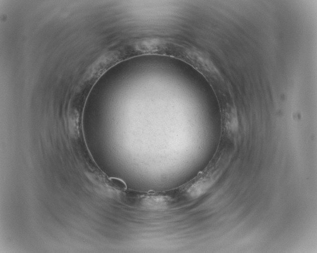 X0000076300332200609291042