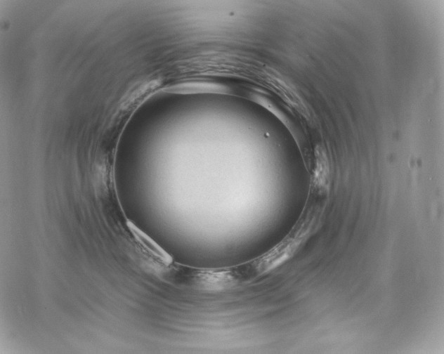 X0000076300333200609291042