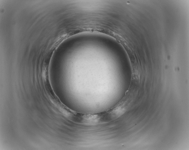 X0000076300334200609291042