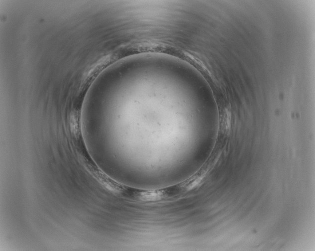 X0000076300335200609291042