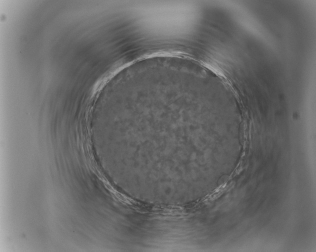 X0000076300337200609291041